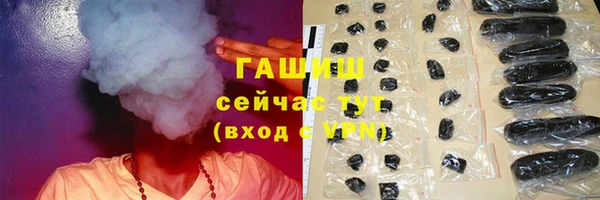 крисы Алагир