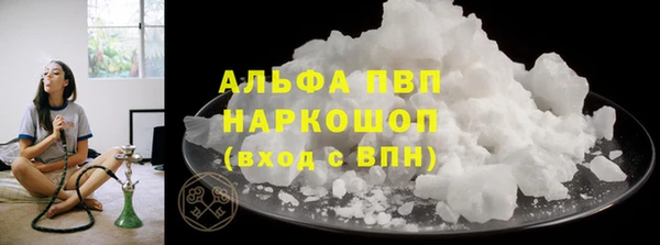 стаф Абаза