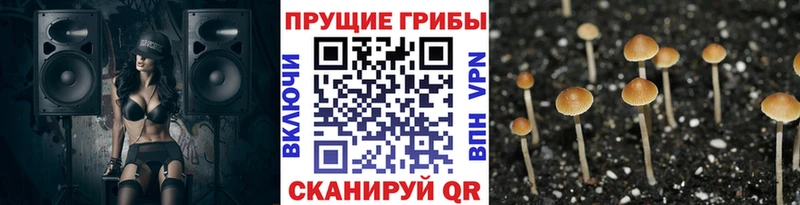 Галлюциногенные грибы MAGIC MUSHROOMS  где найти   Ивангород 