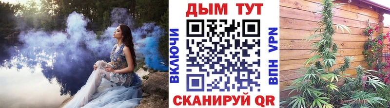 купить наркотик  Ивангород  Шишки марихуана гибрид 